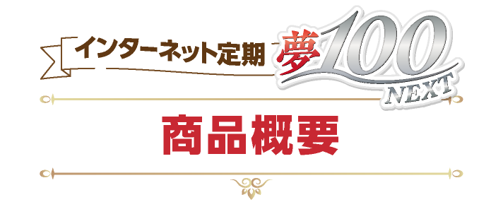 インターネット定期夢100NEXT 商品概要