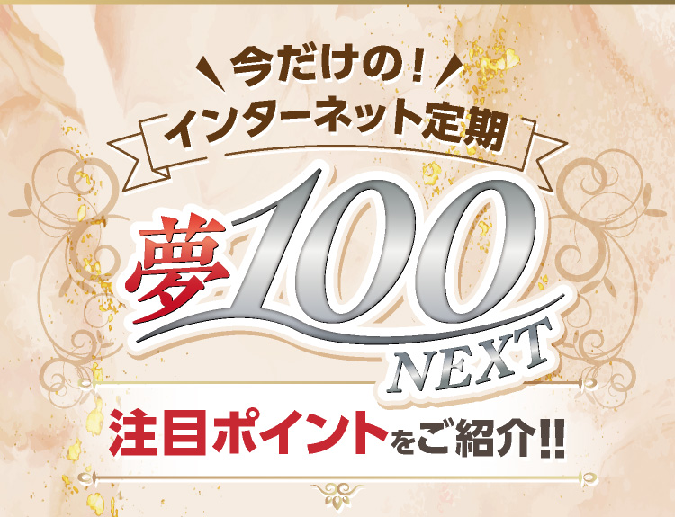 今だけのインターネット定期